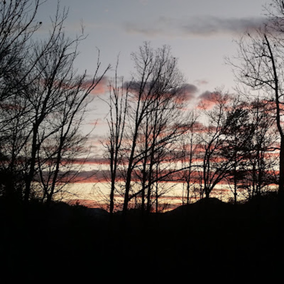 Meet your Posher, Shelly - Picture 1 of 1